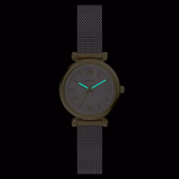 Fossil FES5463 Kadın Kol Saati