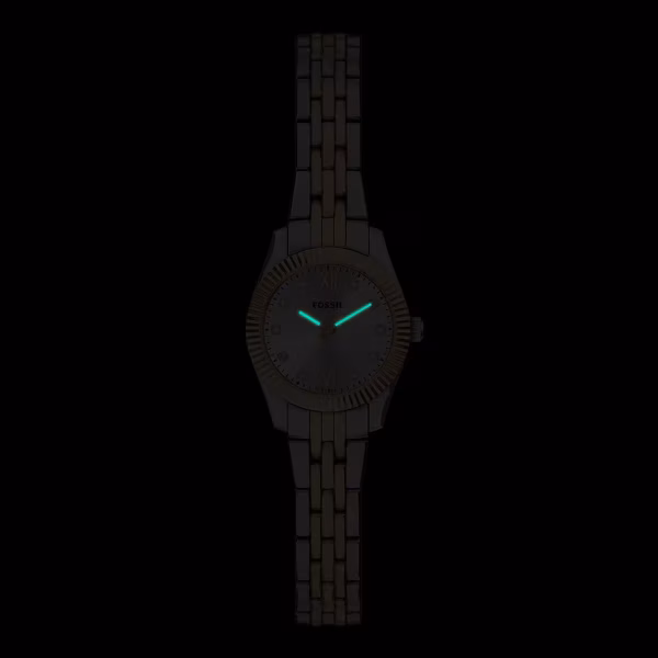 Fossil FES5473 Kadın Kol Saati