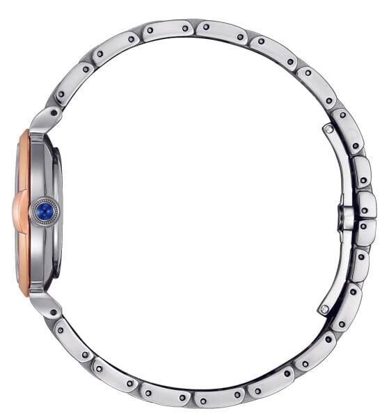 Citizen Em1074-82D Eco-Drive Kadın Kol Saati