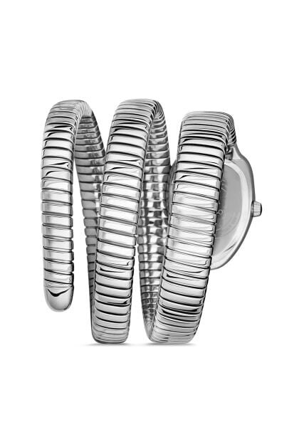 MOMENTUS SS256S-02SS Kadın Kol Saati