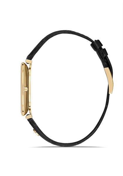 HISLON  CL179G-02KG Erkek Kol Saati