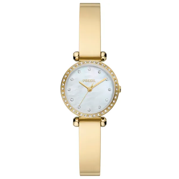 Fossil FBQ3895 Kadın Kol Saati