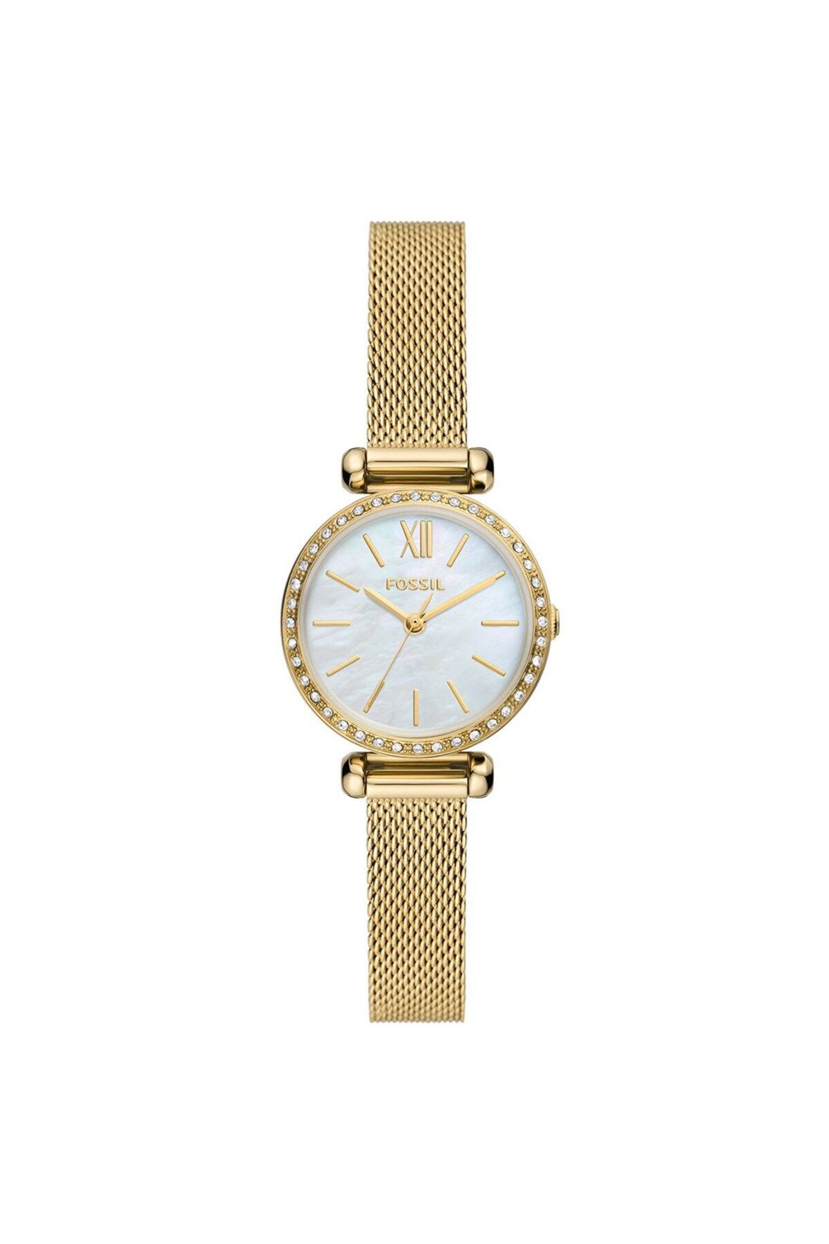 Fbq3898 Quartz Çelik Hasır 26 Mm Kadın Kol Saati